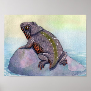 Poster Copie de Triadobatrachus