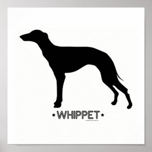 Poster Copie de whippet