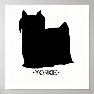 Poster Copie de Yorkie