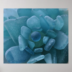 Poster Copie en verre de fleur de mer bleue