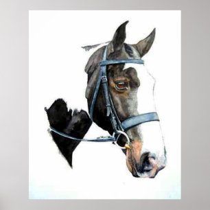 Poster Copie lourde d'affiche de portrait de cheval de