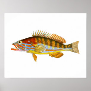 Poster Copie nautique antique d'art de l'impression no.5