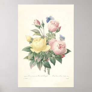 Poster Copie rose de du Bengale Canvas