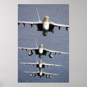 Poster Copie superbe de 4 frelons FA-18