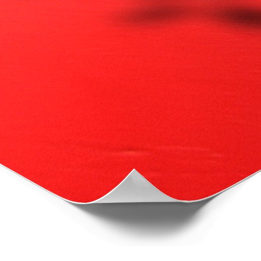 Poster copie v2 du programme d'hologramme (Coin)