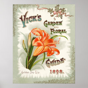 Poster Copie vintage de paquet de graine d'hémérocalle