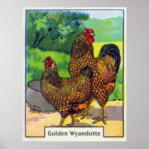 Poster Copie vintage de poulet