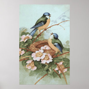 Poster Copie vintage d'oiseaux