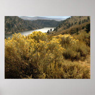 Poster Copies colorées de brosse de canyon du Colorado
