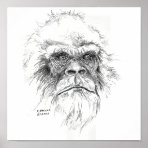 Poster Copies de Sasquatch