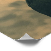 Poster Coq à Sepia (Coin)