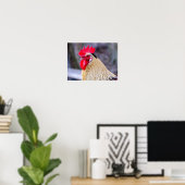 Poster Coq avec Cockscomb (Bureau à domicile)