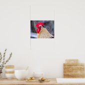Poster Coq avec Cockscomb (Cuisine)