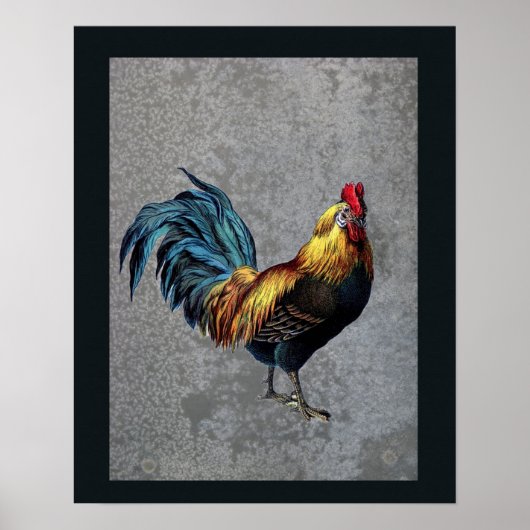 Poster Coq Bantam coloré (Devant)