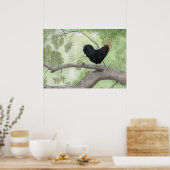 Poster Coq Cogburn (Cuisine)