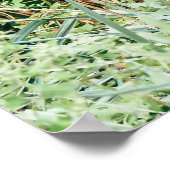 Poster Coq dans les buissons verts (Coin)