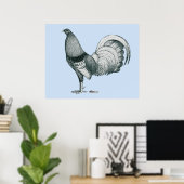 Poster coq de combat Crele ou Dom (Bureau à domicile)