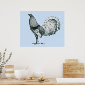 Poster coq de combat Crele ou Dom (Cuisine)