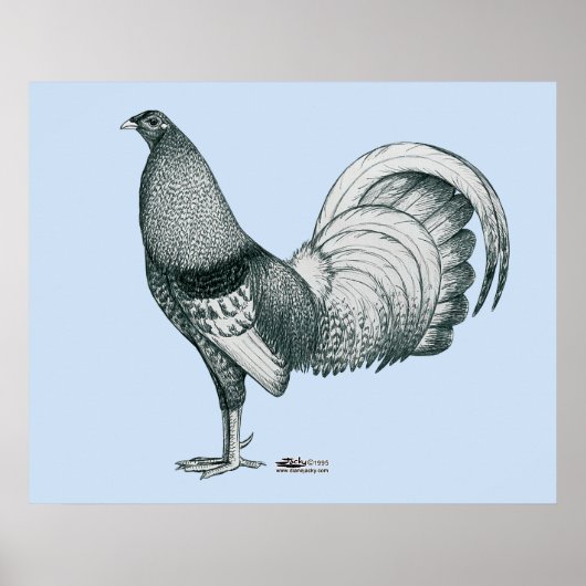 Poster coq de combat Crele ou Dom (Devant)