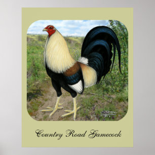 Poster Coq de combat de route de campagne