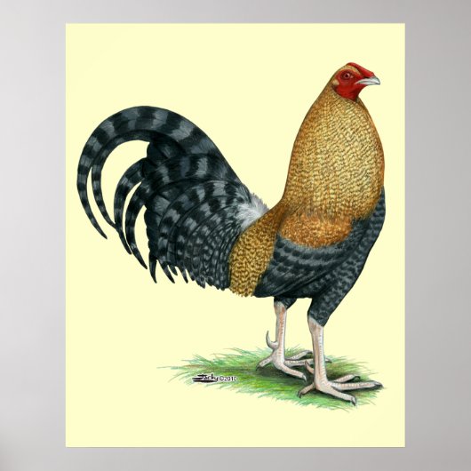 Poster Coq de combat : Dom ou Crele (Devant)