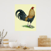 Poster Coq de combat : Dom ou Crele (Cuisine)