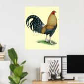 Poster Coq de combat : Dom ou Crele (Bureau à domicile)
