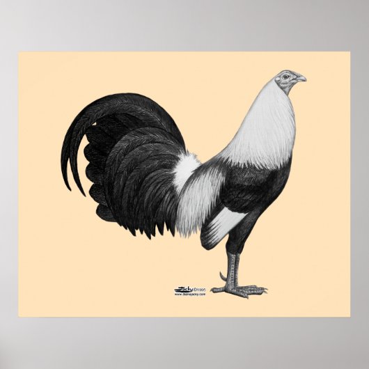 Poster Coq de combat gris à ailes de canard (Devant)