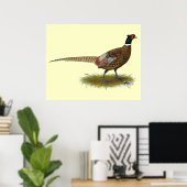 Poster Coq de faisan (Bureau à domicile)