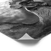 Poster Coq de verre (Coin)