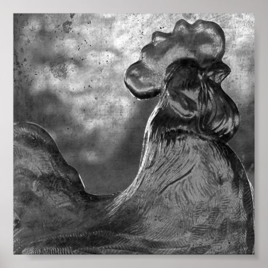 Poster Coq de verre (Devant)