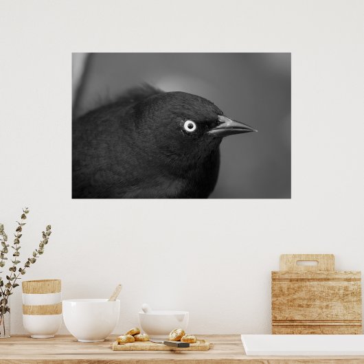 Poster Coq effrayant oiseau (Cuisine)