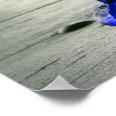 Poster Coq en verre bleu (Coin)