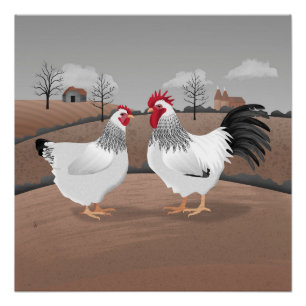 Poster Coq et Poule