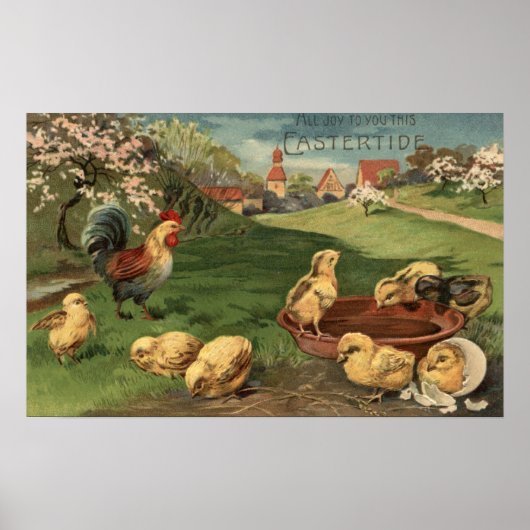 Poster Coq et poussins (Devant)
