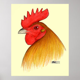Poster Coq Gamecock à Crête Simple