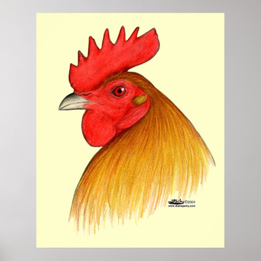 Poster Coq Gamecock à Crête Simple (Devant)
