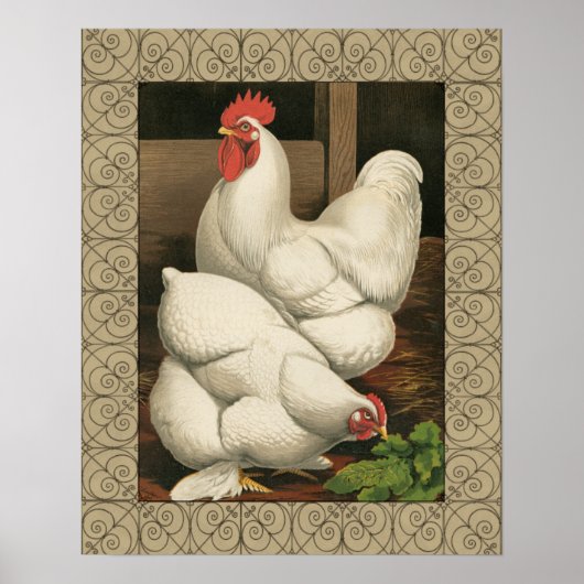 Poster Coq & Hen à l'extérieur Hen House avec frontière b (Devant)