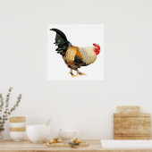 Poster Coq isolé (Cuisine)