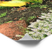 Poster Coq jaune et vert (Coin)