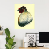 Poster Coq Mapuche Huastec (Bureau à domicile)