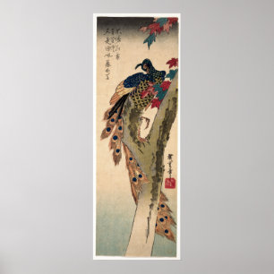 Poster Coq perché sur un érable