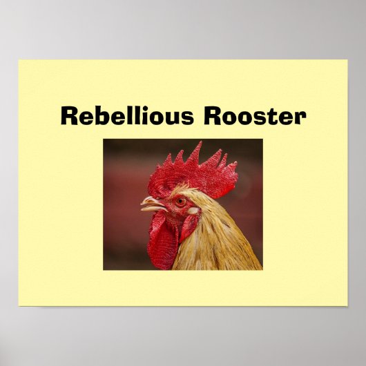 Poster Coq rebelle (Devant)