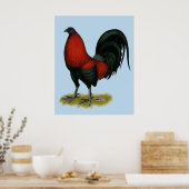 Poster Coq Rouge Noir BB Américain (Cuisine)
