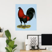 Poster Coq Rouge Noir BB Américain (Bureau à domicile)