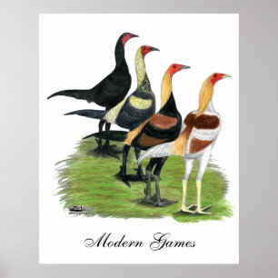 Poster Coqs modernes de jeu