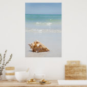 Poster Coque Conch Sur La Plage | Floride, Saint-Pétersbo (Cuisine)