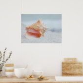 Poster Coque conique (Cuisine)