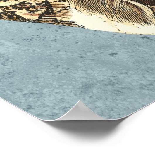 Poster Coque conique en pierre (Coin)