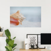 Poster Coque conique | Floride (Bureau à domicile)